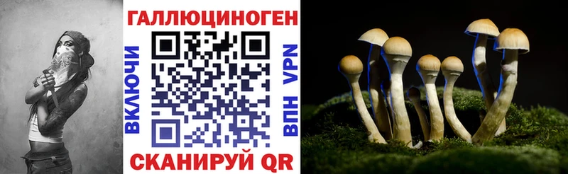 Псилоцибиновые грибы Cubensis  Тейково 